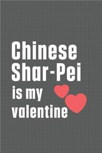 Chinese Shar-Pei is my valentine