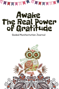 Guided Manifestation Journal 