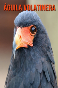 Águila volatinera