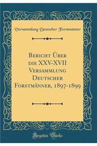 Bericht Ã?ber Die XXV-XVII Versammlung Deutscher ForstmÃ¤nner, 1897-1899 (Classic Reprint)
