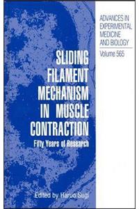 Sliding Filament Mechanism in Muscle Contraction