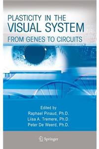 Plasticity in the Visual System