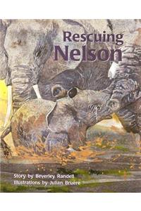 Rescuing Nelson