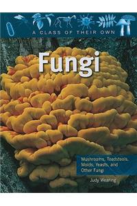 Fungi: Mushrooms, Toadstools, Molds, Yeasts, and Other Fungi
