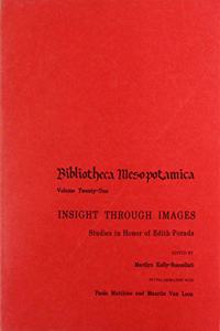 Insight through Images