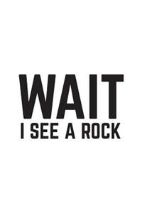 Wait I See A Rock