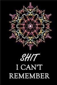 Shit I Can't Remember