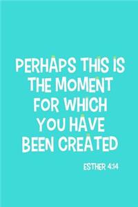 Perhaps This Is the Moment for Which You Have Been Created - Esther 4