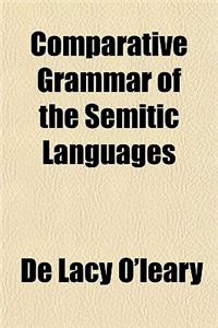 Comparative Grammar of the Semitic Languages