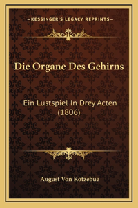 Die Organe Des Gehirns