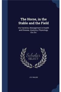 The Horse, in the Stable and the Field