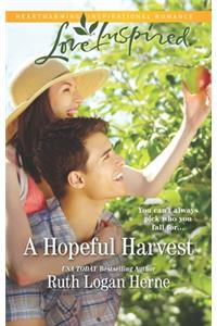 A Hopeful Harvest