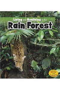 Living and Nonliving in the Rain Forest