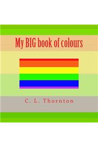 My BIG book of colours