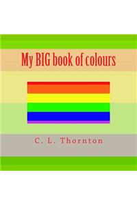 My BIG book of colours