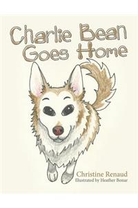 Charlie Bean Goes Home