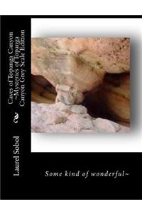Caves of Topanga Canyon Mysteries of Topanga Canyon Grey Scale Edition