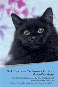 York Chocolate Cat Presents