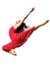 Leap into Flight Journal