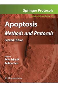 Apoptosis