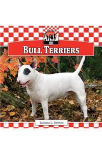 Bull Terriers