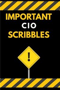 Important CIO Scribbles Notebook / Journal 6x9 Ruled Lined 120 Pages