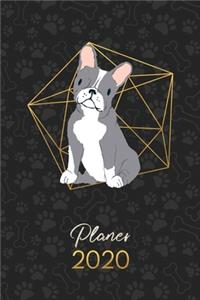 Planer 2020