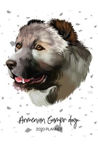 Armenian Gampr Dog 2020 Planner