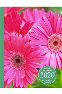 January - December 2020 Daily & Weekly Planner