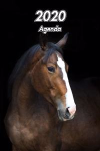 2020 Agenda: Pur Sang Anglais - Équitation Cheval - 129 Pages - 12 Mois - Format A5 - Journalier - Planificateur - Semainier Simple - Calendrier - Organizer