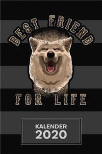 Kalender 2020: A5 Haushund Terminplaner für Hunde Liebhaber mit DATUM - 52 Kalenderwochen für Termine & To-Do Listen - Best Friend For Life Terminkalender Shiba Ja