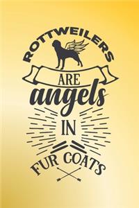 Rottweilers are angels in fur coats.