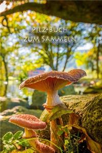 Pilz-Buch zum Sammeln