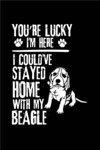 You're Lucky I'm Here I Could've Stayed Home with My Beagle