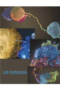 Lab Notebook