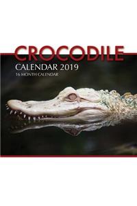 Crocodile Calendar 2019