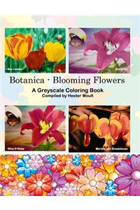 Botanica - Blooming Flowers