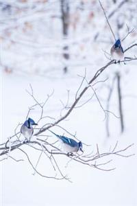 2019 Weekly Planner Three Blue Jays Snowy Winter Branch 134 Pages