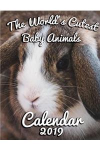 The World's Cutest Baby Animals Calendar 2019