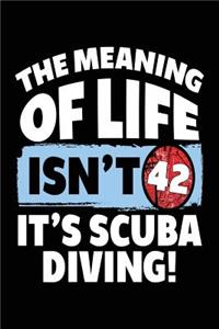 The Meaning Of Life Isn't 42 It's Scuba Diving