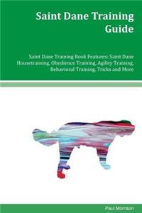 Saint Dane Training Guide Saint Dane Training Book Features