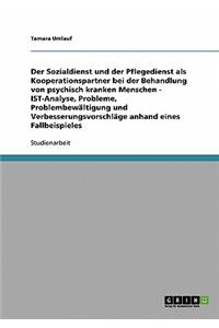 Sozialdienst und Pflegedienst als Kooperationspartner bei der Behandlung psychisch kranker Menschen