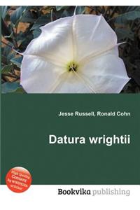 Datura Wrightii