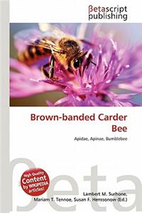 Brown-Banded Carder Bee