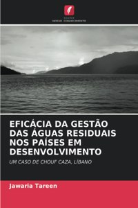 Eficácia Da Gestão Das Águas Residuais Nos Países Em Desenvolvimento