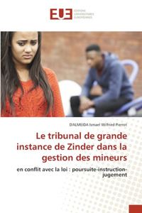 tribunal de grande instance de Zinder dans la gestion des mineurs