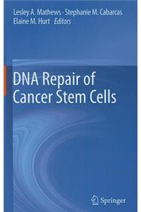 DNA Repair of Cancer Stem Cells