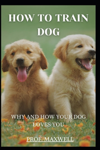 How to Train Dog
