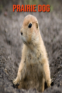 Prairie Dog