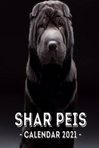 Shar Peis